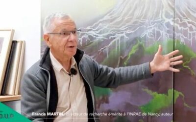 Des racines à la cime