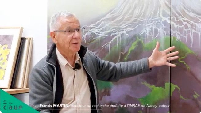 Des racines à la cime