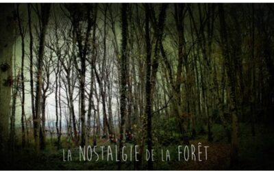 Performance en forêt