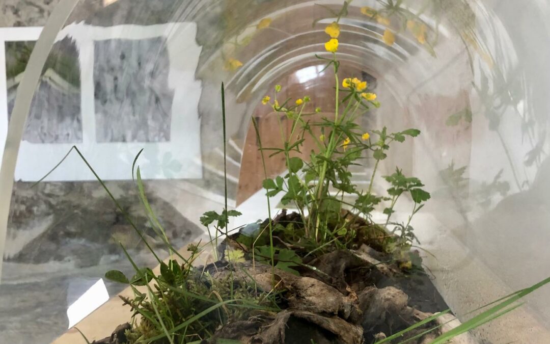 Matter, une exposition personnelle de Stéphanie Caldy
